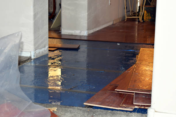 Professional Burst Pipe Cleanup technician working in Larkspur, CA